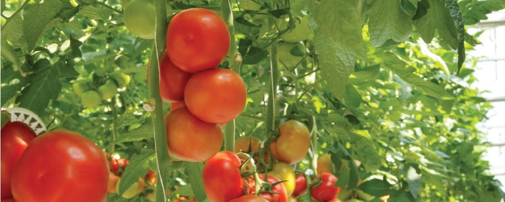 HMI Agricultural Claims Association