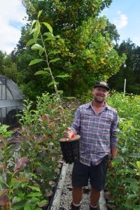 nyssa sylvatica HMI Dr. Michael Dirr