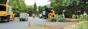 Storm clean up