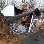 Tree on house